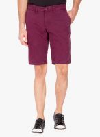 The Indian Garage Co. Purple Solid Shorts