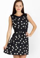 Calgari Black Colored Printed Shift Dress