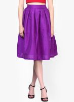 Faballey Purple Flared Skirt