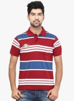 Orange Valley Maroon Striped Polo T-Shirt