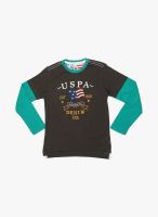 U.S. Polo Assn. Brown T-Shirt