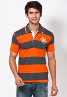 Cherokee Orange Striped Polo T-Shirts