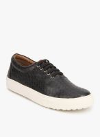 Knotty Derby Alecto Oxford Black Sneakers
