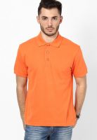 Wilkins & Tuscany Orange Solid Polo T-Shirts