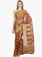 Xclusive Chhabra Brown Printed Saree