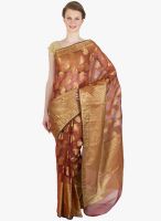 Xclusive Chhabra Brown Printed Saree