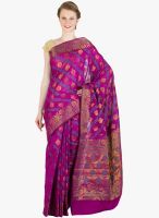 Xclusive Chhabra Magenta Printed Saree