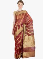 Xclusive Chhabra Maroon Striped Saree