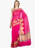 Xclusive Chhabra Pink Printed Saree