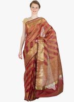 Xclusive Chhabra Red Printed Saree