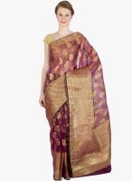 Xclusive Chhabra Wine Printed Saree