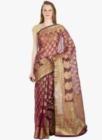 Xclusive Chhabra Wine Printed Saree