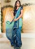 Vishal_Blue_Embroidered_Saree.jpg