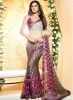 Vishal_Multi_Embroidered_Saree_1.jpg
