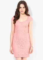 Dorothy Perkins Pink Solid Bodycon Dress