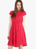 The Vanca Fuchsia Colored Solid Skater Dress