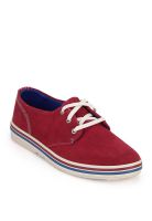 Timberland Leather Oxford Maroon Sneakers