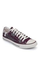 Converse Ctas Sketch Ox Purple Sneakers