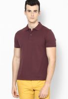Giordano Brown Solid Polo T-Shirts