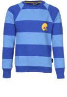 Little Kangaroos Blue Sweatshirts