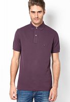 Tommy Hilfiger Plum Perfect Half Sleeve Polo T-Shirt