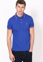 United Colors of Benetton Blue Solid Polo T-Shirts