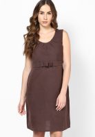 Westhreads Brown Colored Solid Shift Dress