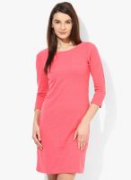 AND Pink Colored Embroidered Shift Dress