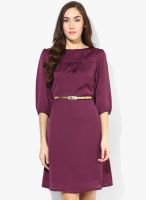 Park Avenue Purple Colored Checked Shift Dress With Belt