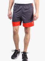 Puma Dark Grey Evotrg Shorts