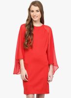 Rare Red Colored Solid Shift Dress