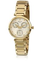Kenneth Cole Ikc4680 Gold/White Analog Watch