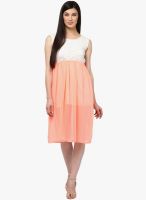MBE Peach Colored Solid Skater Dress
