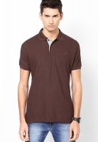 Proline Coffee Solid Polo T-Shirts