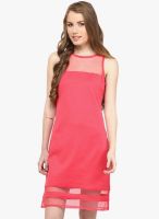Rare Pink coloured Solid Bodycon Dress