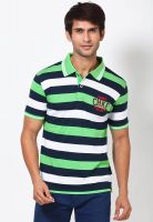 Cherokee Green Striped Polo T-Shirts