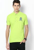 Club York Green Solid Polo T-Shirts