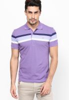 Gas Purple Striped Polo T-Shirts