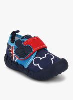 Kittens Navy Blue Sneakers