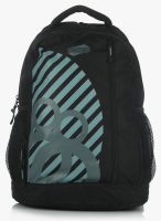 American Tourister Champ Casper Black Backpack