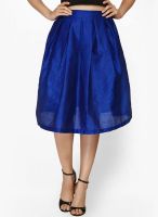 Faballey Blue Flared Skirt