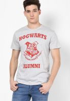 Harry Potter Grey Printed Round Neck T-Shirts Harry Potter Grey Printed Round Neck T-Shirts