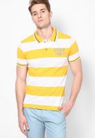 Cherokee Yellow Striped Polo T-Shirts