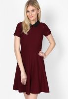 Dorothy Perkins Maroon Colored Solid Skater Dress