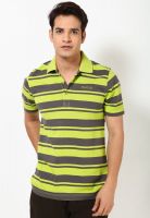 Reebok Green Striped Polo T-Shirts