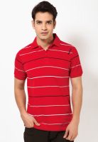 Reebok Red Striped Polo T-Shirts