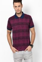 Arrow Sports Purple Polo T-Shirt