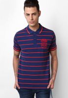 Cherokee Navy Blue Striped Polo T-Shirts