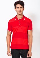 Cherokee Red Solid Polo T-Shirts