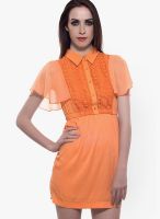 Cherymoya Orange Colored Solid Shift Dress